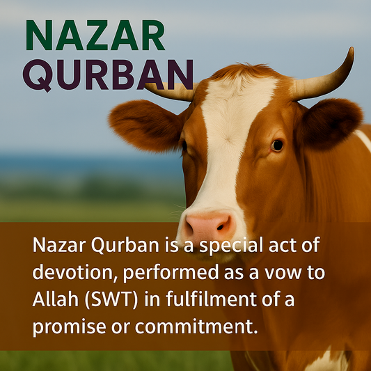 Nazar Qurban (Whole Cow)